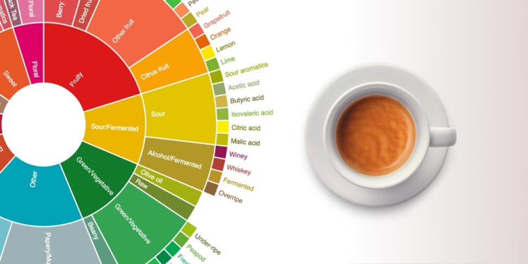 راهنمای جامع و تخصصی ارزیابی حسی اسپرسو